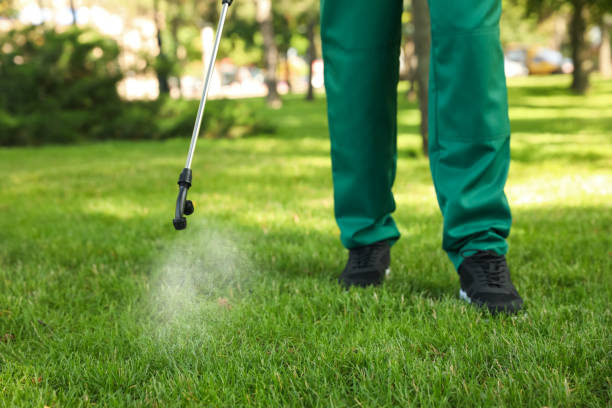 Best Pest Control Near Me in Glenpool, OK