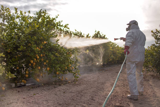 Best Mosquito Control Services  in Glenpool, OK