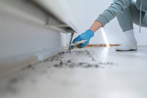 Best Commercial Pest Control Services  in Glenpool, OK