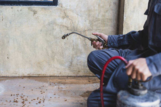 Best Flea Control Services  in Glenpool, OK